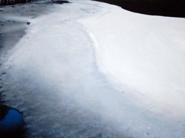 Frozen Pond