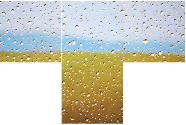 Rain During The Day