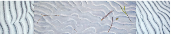 Sand, Low Tide