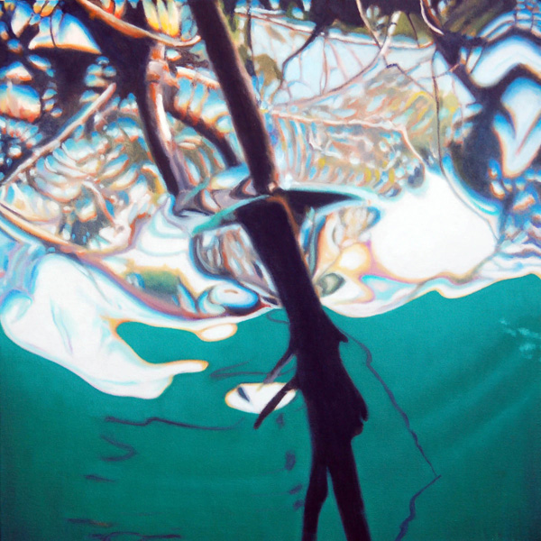 Under The Mangroves