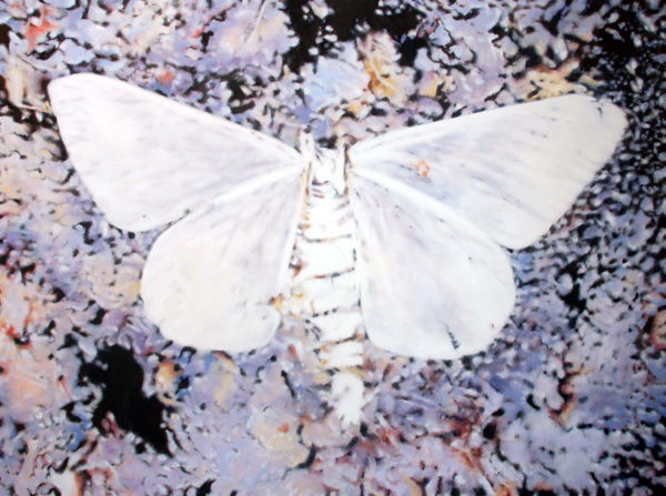 Drowned Butterfly
