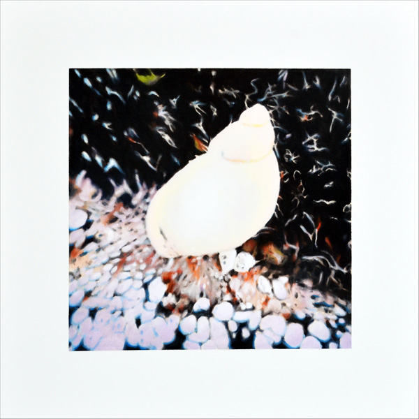 Snail