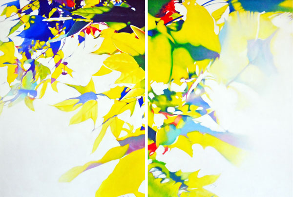 Sycamore