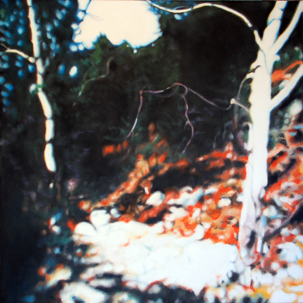 Sycamores (Dream)