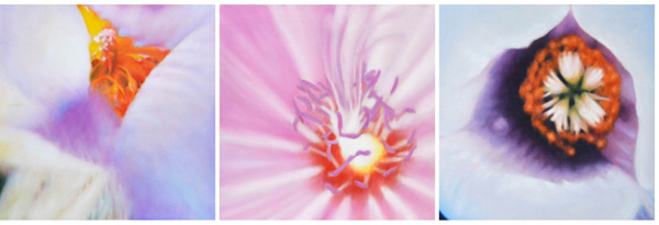 Three Flowers