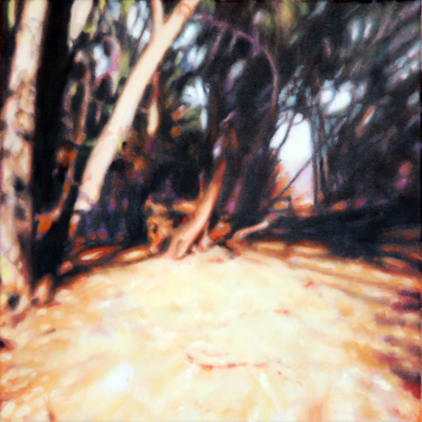 Woods