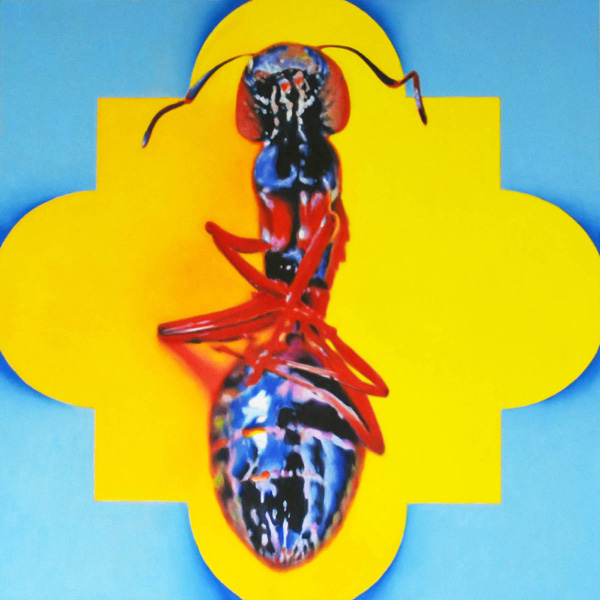 Carpenter Ant