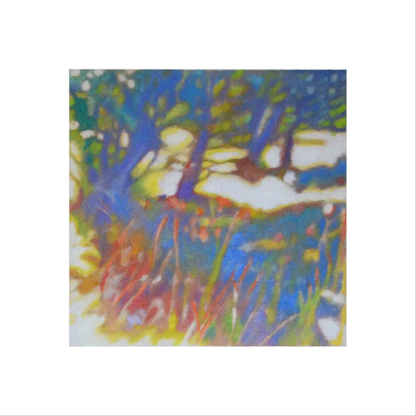 Dry Creek Dream 2