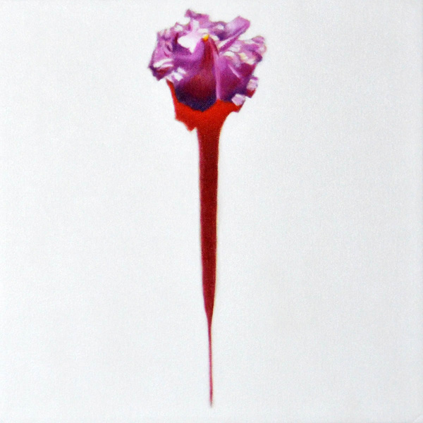 Purple Trumpet II