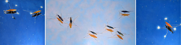 Water Striders