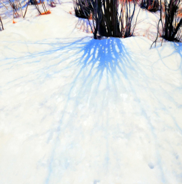 Alders