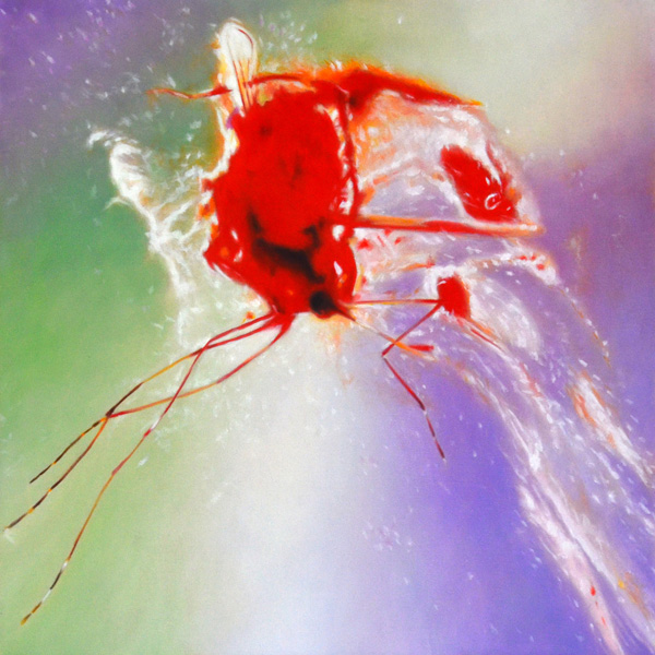 Culicidae