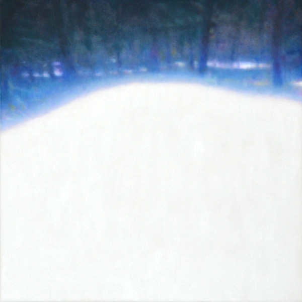 Snow in the Forest