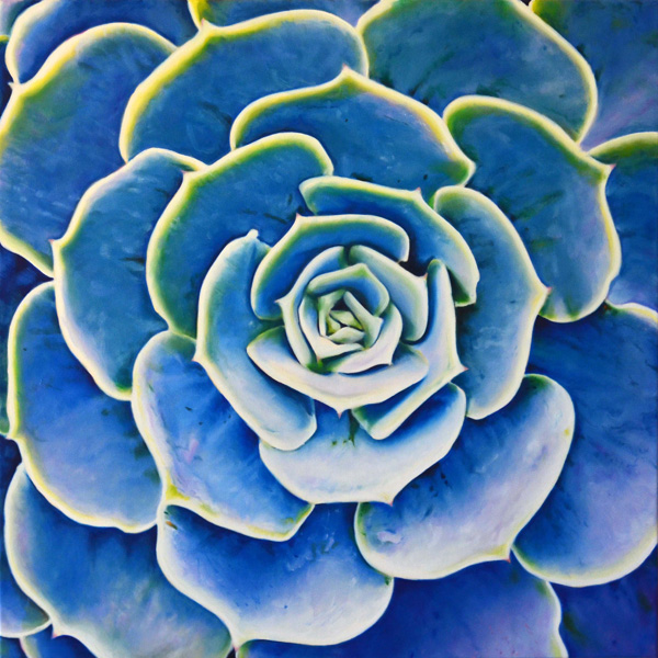 Succulent