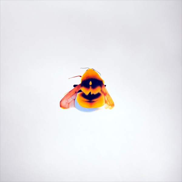 Abeja