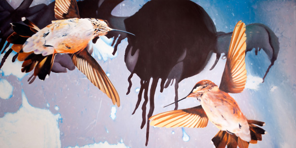 Hummingbirds