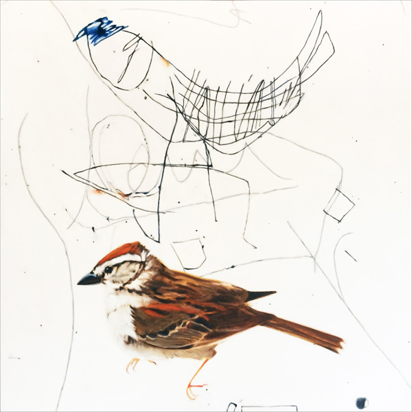 Drawing Of A Bird