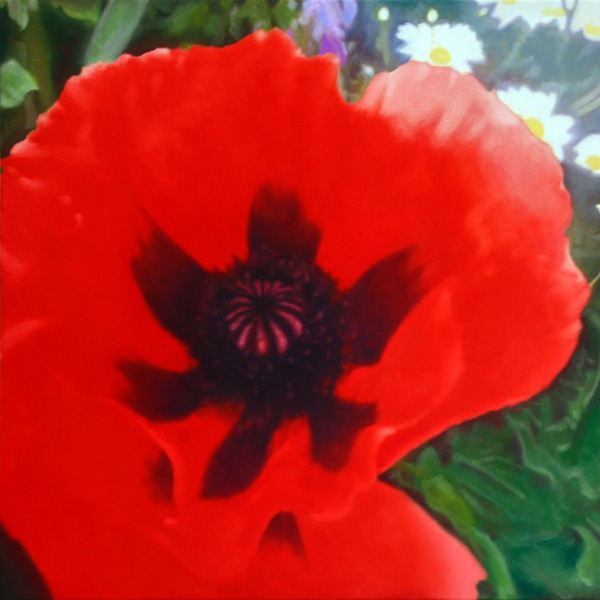 Milltown Garden