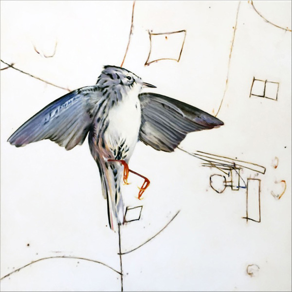 Warbler