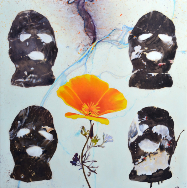 California Poppy