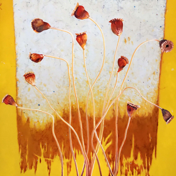 Poppies