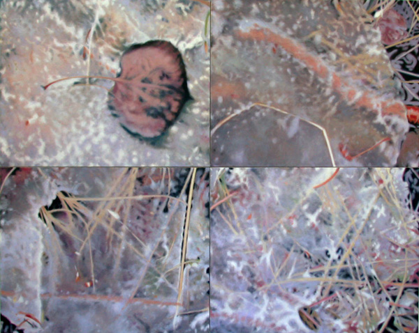 Ice