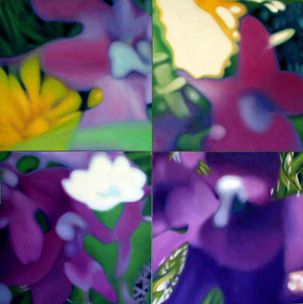Larkspur