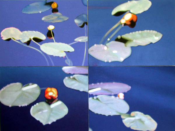 Lily Lake