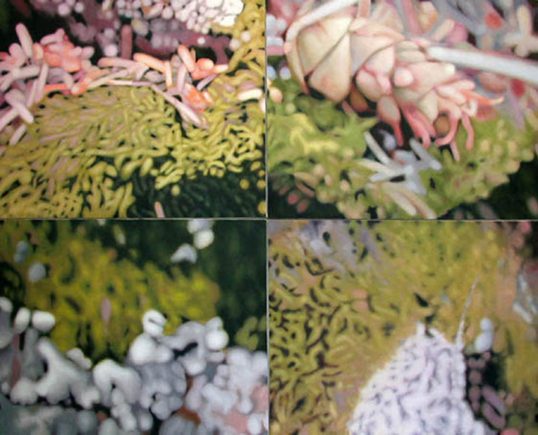 Moss