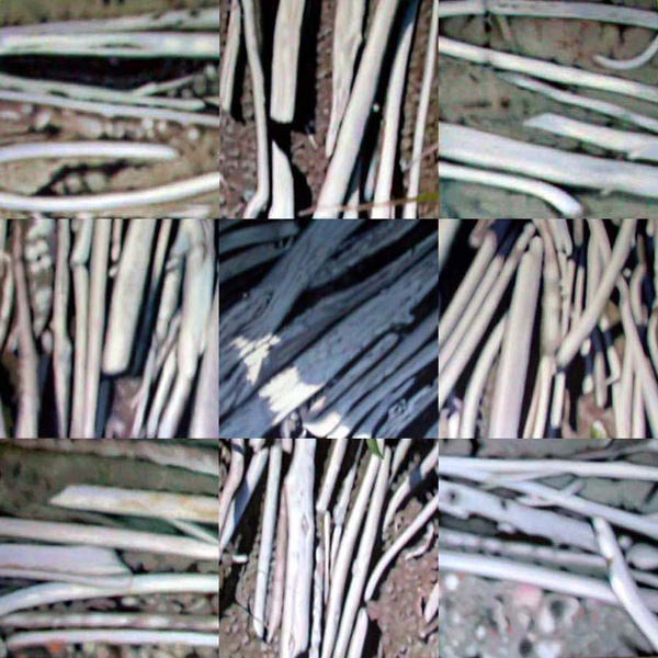 Treebones